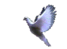 ثلاث عظات للأنبا فيلبس ( الحياة الابدية - السلام - عوائق عمل اروح القدس ) 450636